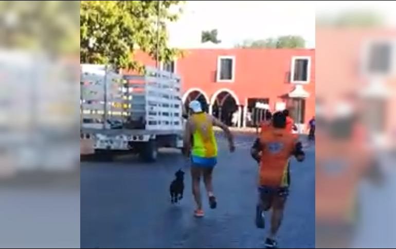 En un video se ve cómo Manuel Alcocer golpea al perro. Facebook/Red Animal Yucatán