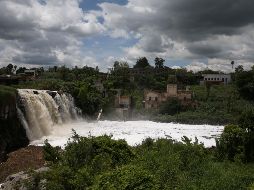 Alrededor del río Santiago hay nueve mil 282 empresas, de las cuales la mitad genera residuos nocivos para el ambiente. EL INFORMADOR/Archivo