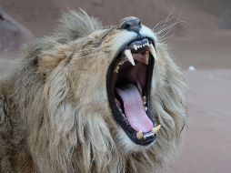 El mundo en imágenes del 6 de marzo de 2018