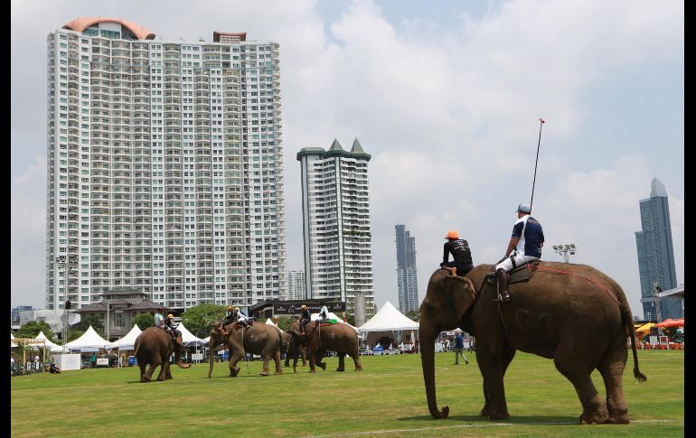 Un juego del torneo de polo de elefantes de la Copa del Rey en Bangkok, Tailandia. El evento recauda fondos para proyectos en apoyo a la población de elefantes del país. AP/S. Lalit