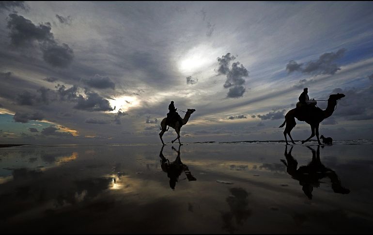 Palestinos participan en una competición local montados en camello, en Gaza. EFE/ M. Saber