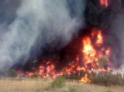 El siniestro afectó un área entre 200 y 300 metros cuadrados. TWITTER / @PGRinaki