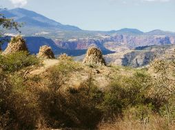 Diferente paisaje de estío cerca de Pánico. EL INFORMADOR/ P. Somellera