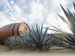 El hotel ofrece a sus huéspedes la experiencia de “convertirse” en la tradicional bebida del tequila y “reposar” en enormes barricas durante una o más noches. EFE