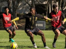 El timonel melenudo destacó que tienen en sus manos una posible clasificación, pues dos de tres jornadas las enfrentarán en el Estadio Jalisco. FACEBOOK / Leones Negros Universidad de Guadalajara