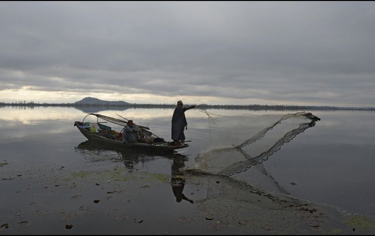 Un pescador arroja su red al lago Dal en Srinagar, India. AFP/T. Mustafa