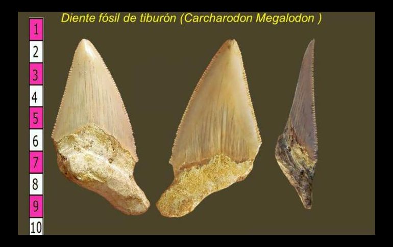 El descubrimiento se realizó a cuatro metros de profundidad. ESPECIAL / granma.cu