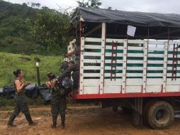 Las FARC firmaron un acuerdo de paz con el gobierno colombiano en noviembre de 2016. NTX / ARCHIVO