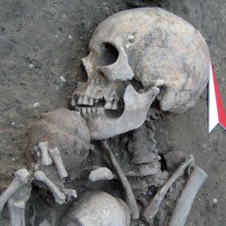 Descartan lazos de africanos y europeos hace 15 mil años