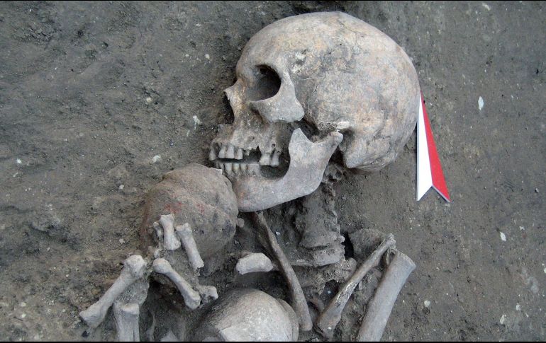 Los estudios rechazan hipótesis anteriores que apuntaban al flujo de genes desde el Sur de Europa hacia el Norte de África. AFP/Archivo