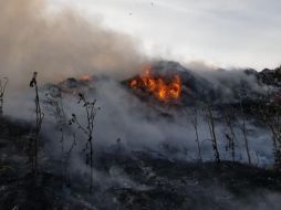 El fuego comenzó durante la tarde del domingo. ESPECIAL /