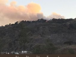 Se presume que el incendio habría sido ocasionado por quemas preventivas realizadas cercanas al punto. TWITTER / @Alfredo_IMartin