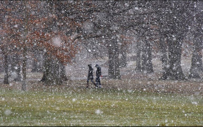 Una nevada en un parque de la ciudad estadounidense de Pittsburgh. Una poderosa tormenta azota el noreste del país, con nevadas en partes de Pensilvania y Nueva Jersey. AP/Pittsburgh Post-Gazette/D. Sapp