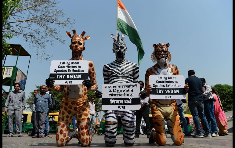 Integrantes de la organización PETA posan para una foto durante una protesta en Nueva Delhi, India, para pedir a las personas que no consuman carne animal para proteger el medio ambiente. AFP/S. Hussain