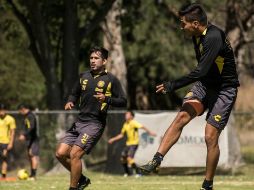 La UdeG busca mantenerse en los puestos de liguilla a falta de sólo dos juegos para que concluya la fase regular del certamen. TWITTER / @LeonesNegrosCF