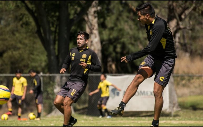 La UdeG busca mantenerse en los puestos de liguilla a falta de sólo dos juegos para que concluya la fase regular del certamen. TWITTER / @LeonesNegrosCF