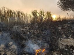 Uno de los incendios que se encuentran activos en Jalisco es el del vertedero de Tala. ESPECIAL /