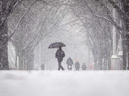 La nieve, que comenzó a caer a primera hora de la mañana, se mantendrá hasta el jueves; recomiendan no viajar si no es necesario debido a las condiciones climáticas. AFP / K. Nietfeld