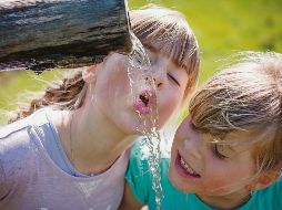 La temporada de calor puede provocar problemas en nuestro organismo. ESPECIAL/Pixabay