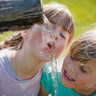 ¡Evita el “golpe de calor”!