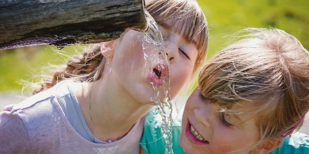 ¡Evita el “golpe de calor”!