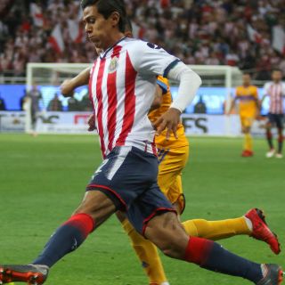 El Rebaño, por la Copa de Campeones