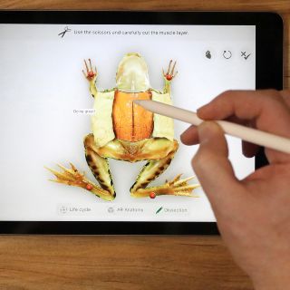 Apple lanza nueva versión más económica de su iPad