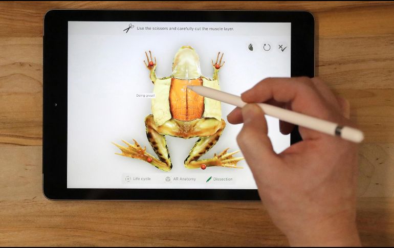 La nueva iPad se ofrecerá a las escuelas por 299 dólares y al publico en general por 329 dólares. AP / C. Rex