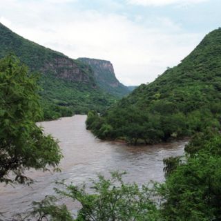Jalisco ejerce monto histórico a través del Fondo Ambiental