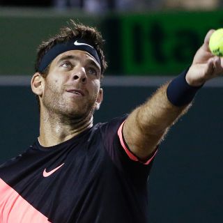 Del Potro vs. Isner, duelo de gigantes