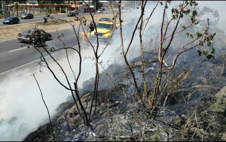 El área afectada, que se halla en uno de los cerros frente al bosque La Primavera, fue de mil 315 metros cuadrados. ESPECIAL/