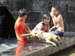 El Servicio Meteorológico Nacional (SMN) pronostica para este lunes ambiente caluroso y seco en la mayor parte del país. EL INFORMADOR / ARCHIVO