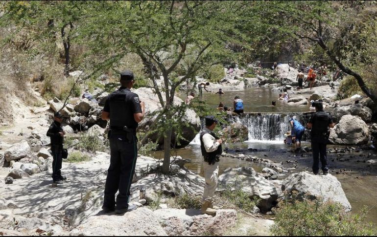 En el operativo participaron más de 450 elementos de diversas dependencias a nivel federal, estatal y municipal, así como grupos de voluntarios, ejidatarios y pequeños propietarios. EL INFORMADOR / ARCHIVO
