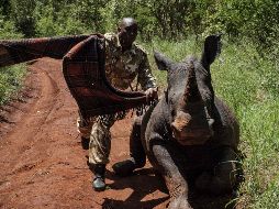 El mundo en imágenes del 5 de abril de 2018
