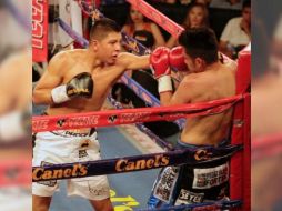 Jaime Munguía es un chico de 21 años que tiene récord de 28-0 con 24 nocauts, pero la Comisión consideró que no tenía los argumentos para subirse contra Golovkin. TWITTER / @elzarcaguilar