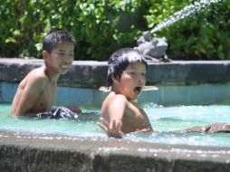 La jornada de hoy será de calor para los municipios de la Entidad. EL INFORMADOR / ARCHIVO