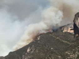 El gobierno del Estado informó que este lunes por la mañana se efectuó un sobrevuelo e inspección para definir los puntos desde donde se puede atacar mejor el fuego. NTX / ESPECIAL