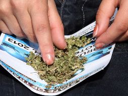 Los síntomas tras consumirla incluyen tos con sangre, sangre en la orina, sangrado severo por la nariz, sangrado en las encías y hemorragia interna. EFE / ARCHIVO