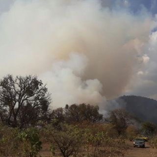 Se registra nuevo incendio en el Bosque de La Primavera