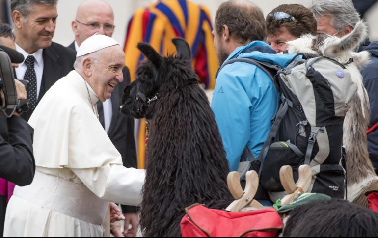 El Papa Francisco saluda a un criador de llamas de la provincia italiana de Bolzano antes de la audiencia general de los miércoles en la Plaza de San Pedro. EFE/C. Peri