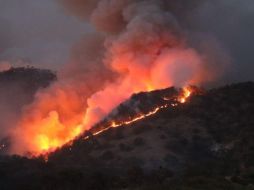 Al menos 252 elementos de diferentes dependencias han estado combatiendo el fuego. ESPECIAL / Protección Civil Zapopan