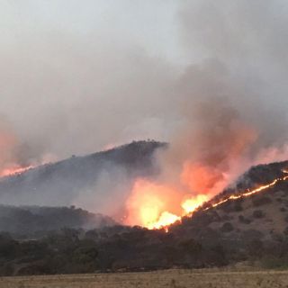 Suspenden clases en Tala por incendio en La Primavera
