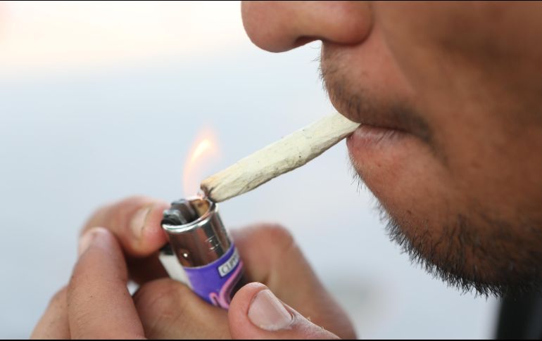 La SCJN reiteró el criterio de que la prohibición absoluta del consumo lúdico de la mariguana es inconstitucional. EL INFORMADOR/ ARCHIVO
