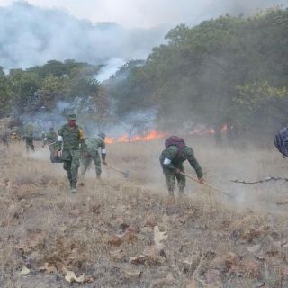 Despliega Sedena más de 100  militares para combatir incendio en La Primavera