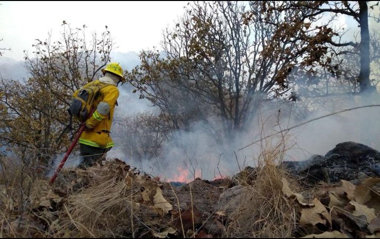 El polígono de emergencia atmosférica comprende un radio de seis kilómetros a partir de los límites del bosque dentro Zapopan, Tlaquepaque, Tlajomulco y la cabecera municipal de Tala. TWITTER / @PCJalisco