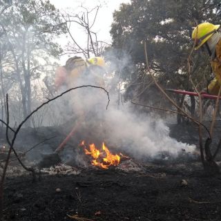 Incendio en La Primavera pudo ser provocado: Autoridades