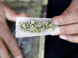 Mientras no se modifique la Ley General de Salud, cada persona que busque consumir la mariguana para uso recreativo deberá presentar sus amparos. AP/M. Sánchez