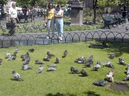 Recomiendan a la población mantenerse hidratada y no exponerse a los rayos solares por tiempos prolongados. EL INFORMADOR/ARCHIVO