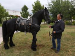 Hasta ahora, Jaime Rodríguez 
