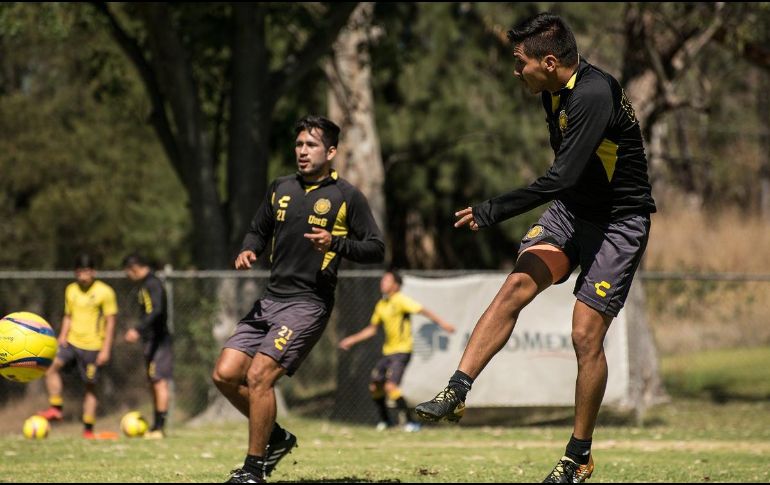 La UdeG enfrentaría a los Potros con un planteamiento 4-2-4.TWITTER/@LeonesNegrosFC